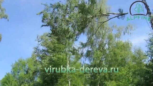 спил частями