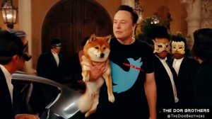 Ложь широко закрыта