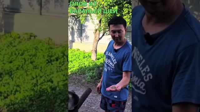 Кухня-Созидание