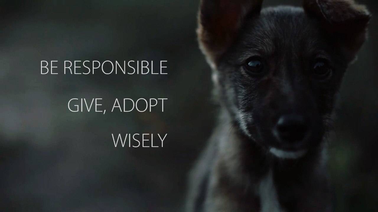 Подарок - Gift - Social Video [Remake]