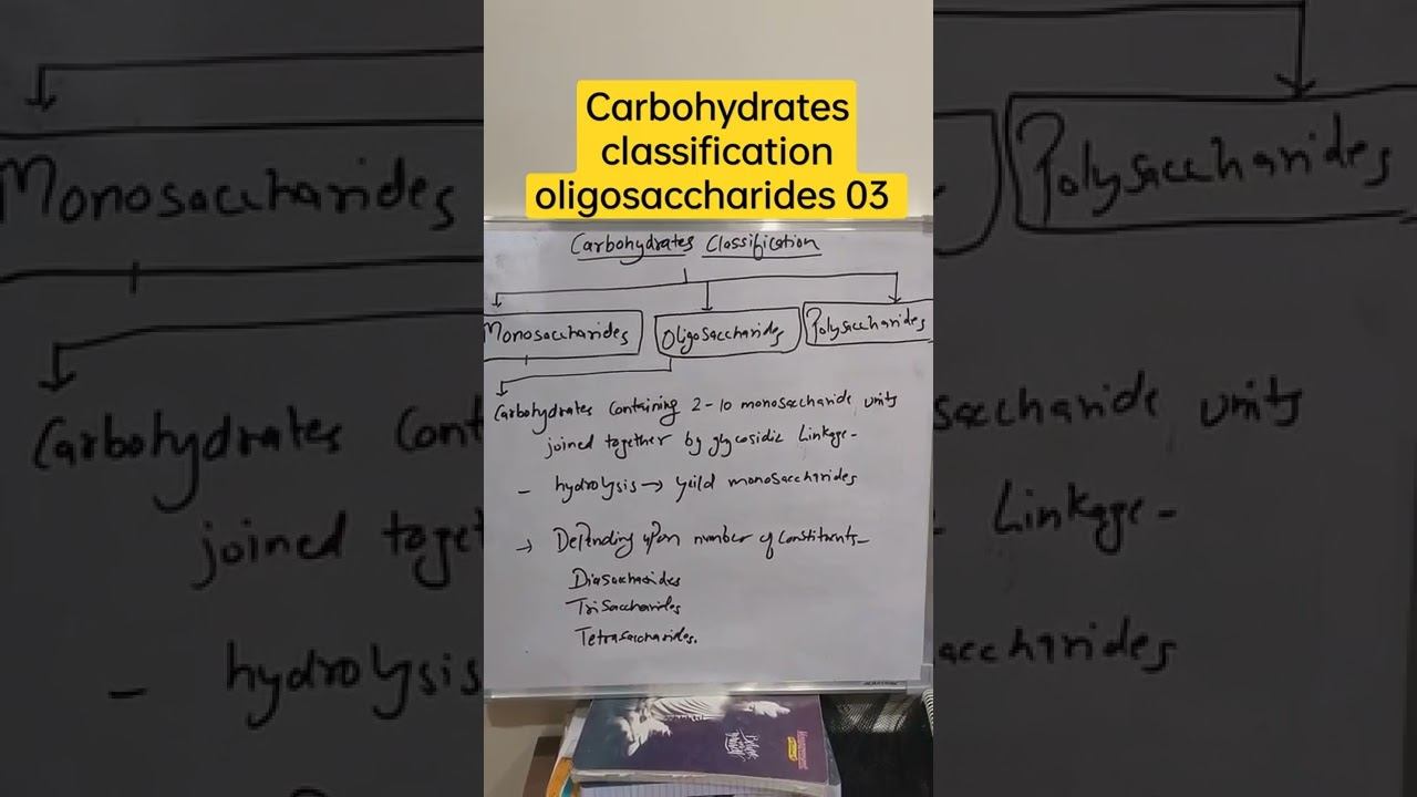 carbohydrates classification oligosaccharide 03 смотреть онлайн