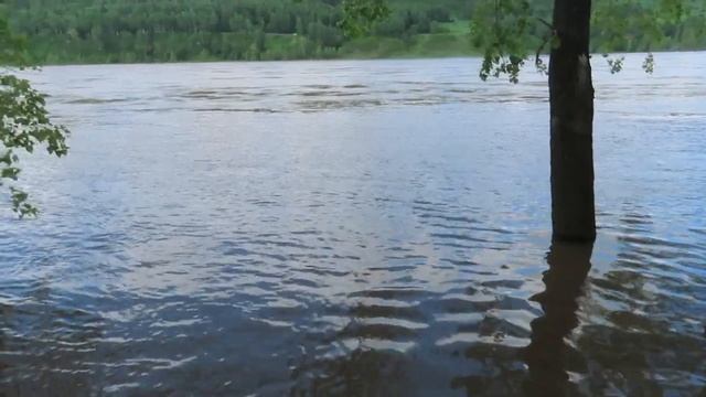 Рыжий цвет воды в Томи. Кемерово