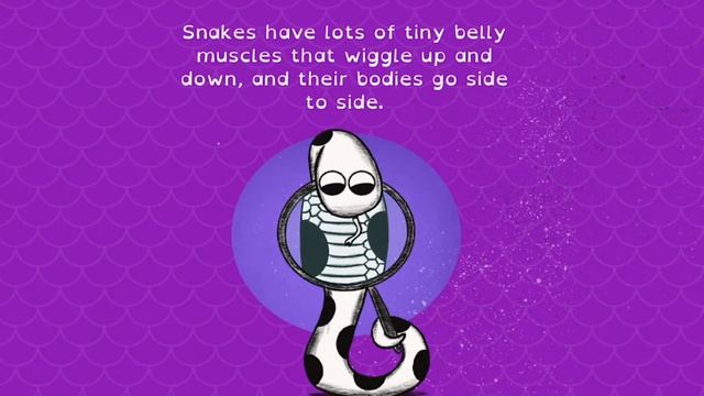 Snakes Have No Legs by Kelly Tills | A Lighthearted Book On How Snakes Get Around by Slithering смотреть онлайн