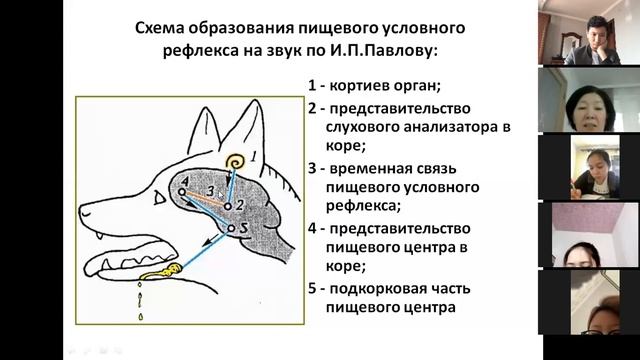 ЖНӘ. Группа 124 ЖМ. Преподаватель Рахимжанова Ж.А. 14.04.2020г. смотреть онлайн