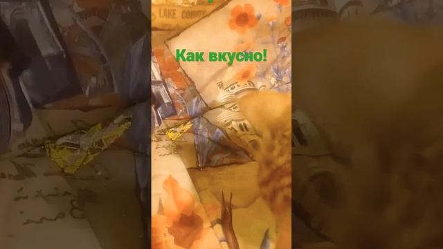 Корм "PURINA ONE" Есть разные для кастрированых и стерелезлваных кошек, для обычных котов. смотреть онлайн