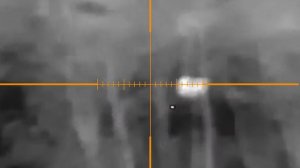 GUIDE TR450. Тепловизор. Закрытие лицензии на косулю.