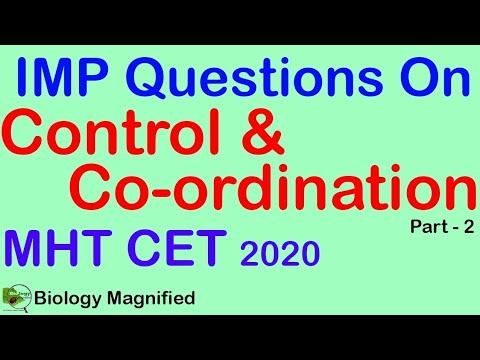 IMP MCQs for MHTCET On ANS & PNS (Peripheral Nervous System &Autonomous Nervous System)12th biology смотреть онлайн