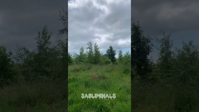 Саблиминал/худоба,худое тело☘️🌻 смотреть онлайн