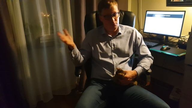 Выиграл суд у сильной и независимой смотреть онлайн