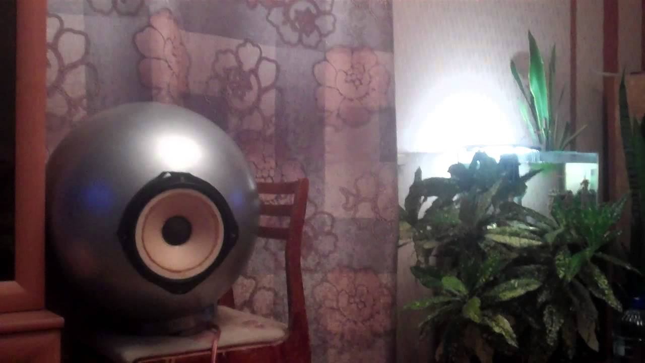 Fostex-FE204(на замшевом подвесе)