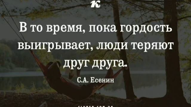 Цитаты и афоризмы. смотреть онлайн