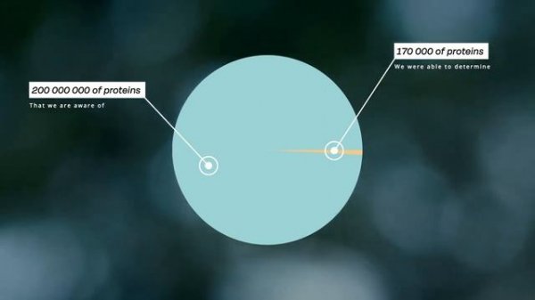 AlphaFold2 Explained | Google's DeepMind Solves Protein Folding