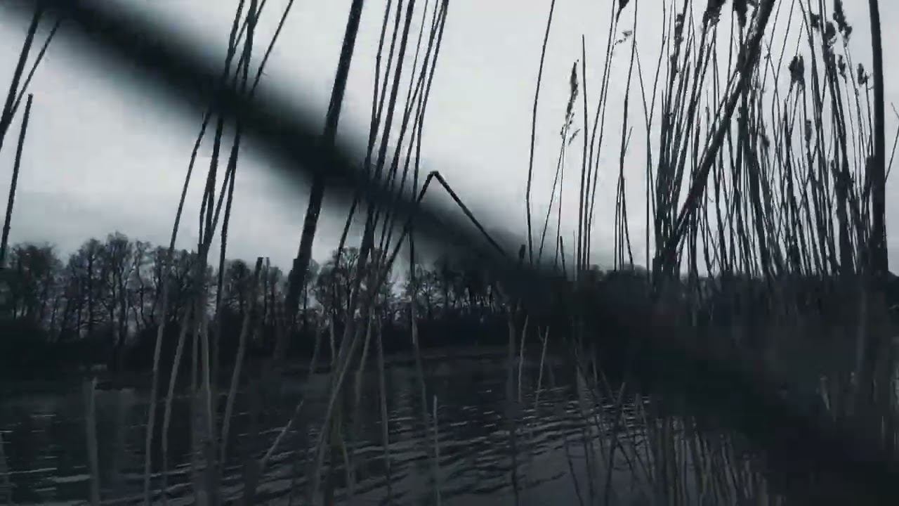 VID 20240424 204050 Конец...уехала одна...(Рафаэль Альберти)...Павел Васильев Лахтинский смотреть онлайн