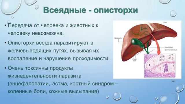 Паразиты смотреть онлайн