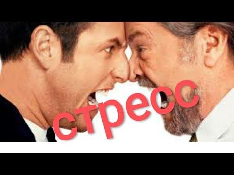 Механизмы стресса. Типы реагрования на стресс смотреть онлайн