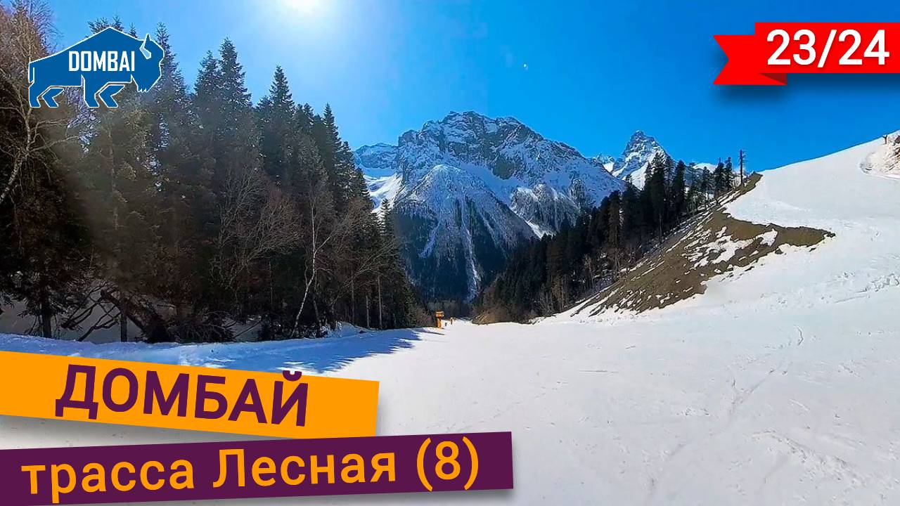 Красивейшая Лесная трасса в Домбае смотреть онлайн