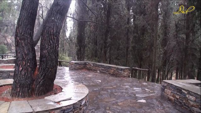 О былом не грущу... исп . муз . Лидии Колесниковой, ст. Любови Юрковой смотреть онлайн
