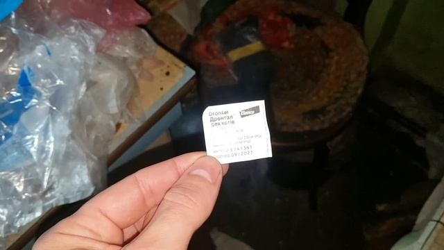 ПРИНЕСЛИ ТАБЛЕТКИ ОТ ГЛИСТОВ DRONTAL БОРЩ И ТЁПЛЫЕ НОСКИ смотреть онлайн