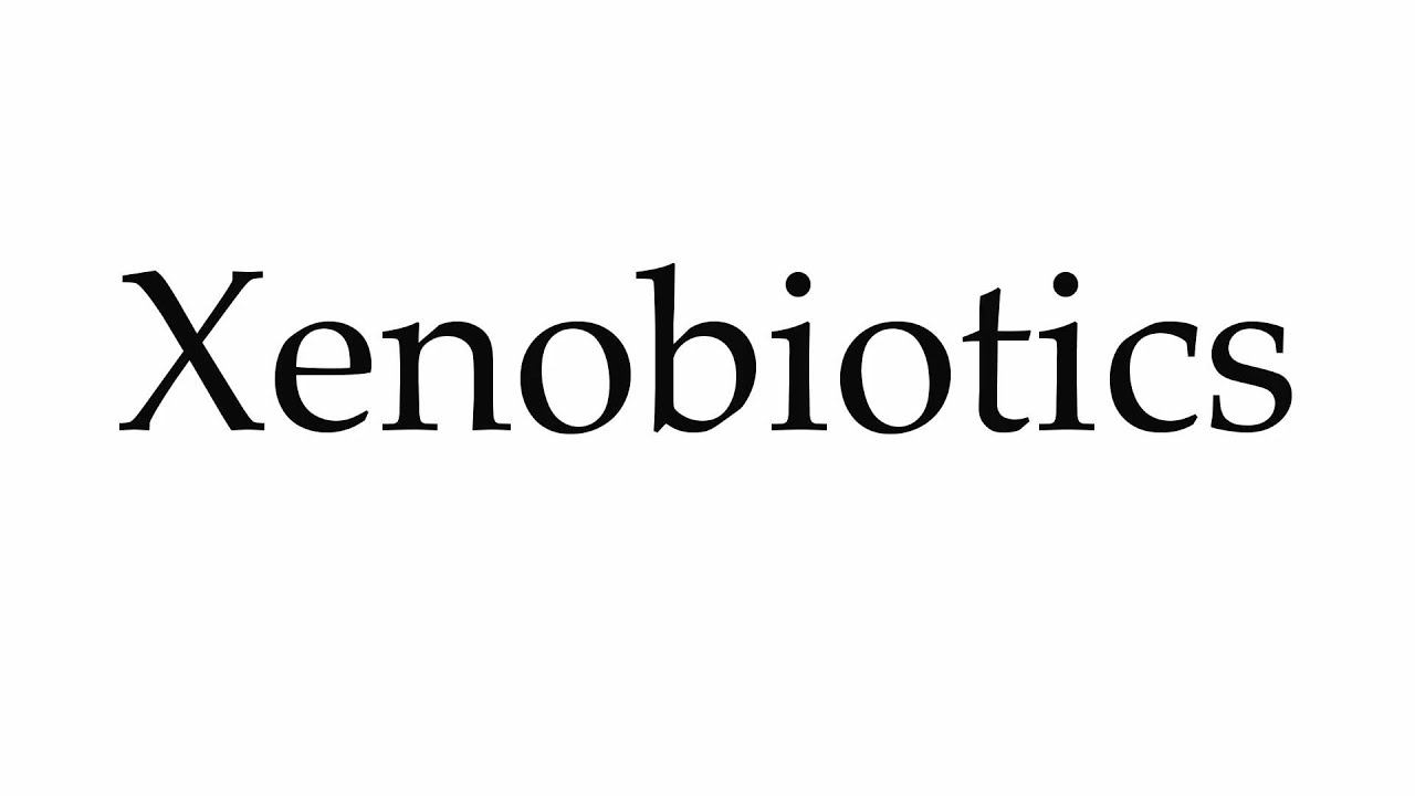 How to Pronounce Xenobiotics смотреть онлайн