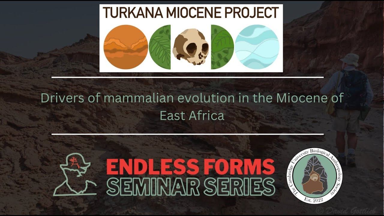 Drivers of mammalian evolution in the Miocene of eastern Africa смотреть онлайн