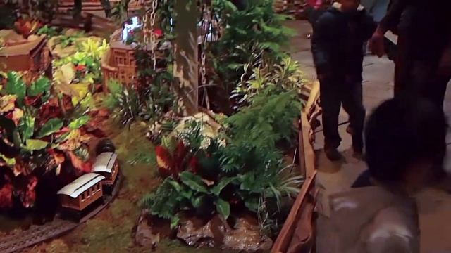 NY Botanic Garden 11-27-15 смотреть онлайн