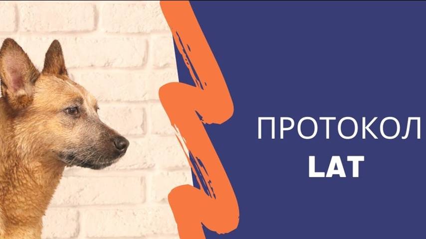 Протоколы коррекции поведения LAT, BAT, САТ, Engage - Disengage смотреть онлайн