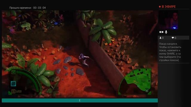 Прямой показ от Magibu72 смотреть онлайн