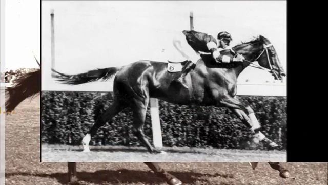Phar Lap- Cudowny koń смотреть онлайн