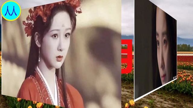 网红脸vs  杨紫天然脸，当两者相遇，“撞脸”效果惊人！