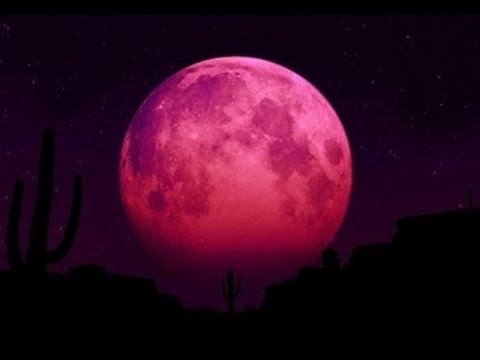 Bad Moon Rising - Creedence Clearwater Revival: with Lyrics(가사 번역) смотреть онлайн