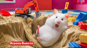 Хомяк попал в ЛАБИРИНТ С ПРЕПЯТСТВИЯМИ ! Выбираемся из лабиринта вместе !