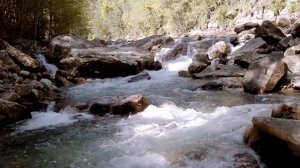 Христианский Стих. НЕ УНЫВАЙ ДУША МОЯ  НЕ УНЫВАЙ.! Читает . [ Любовь Киселева. ]