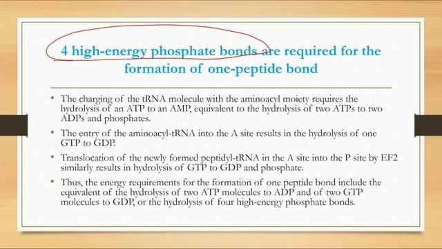 Energy Requirement for formation of a peptide bond смотреть онлайн