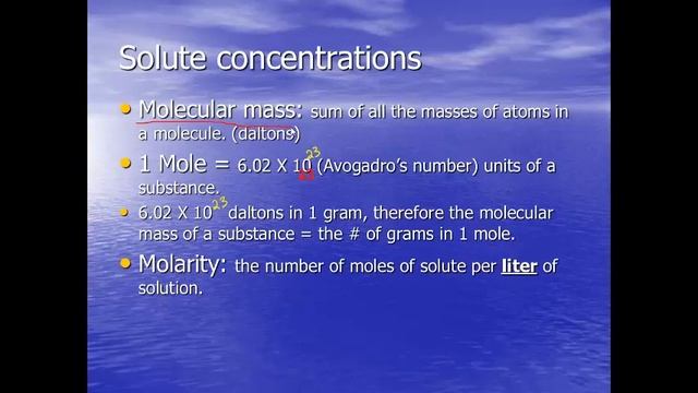 Water смотреть онлайн