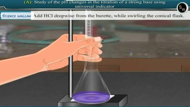 Study of the pH changes in titration of a strong base using universal indicator Class 11 Chemistry смотреть онлайн