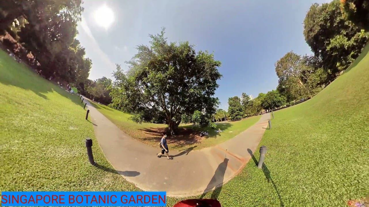 SINGAPORE BOTANIC GARDEN -1 смотреть онлайн