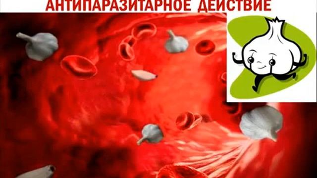 Вебинар 'Кладовые природы от Sisel International  Garlic Чеснок'