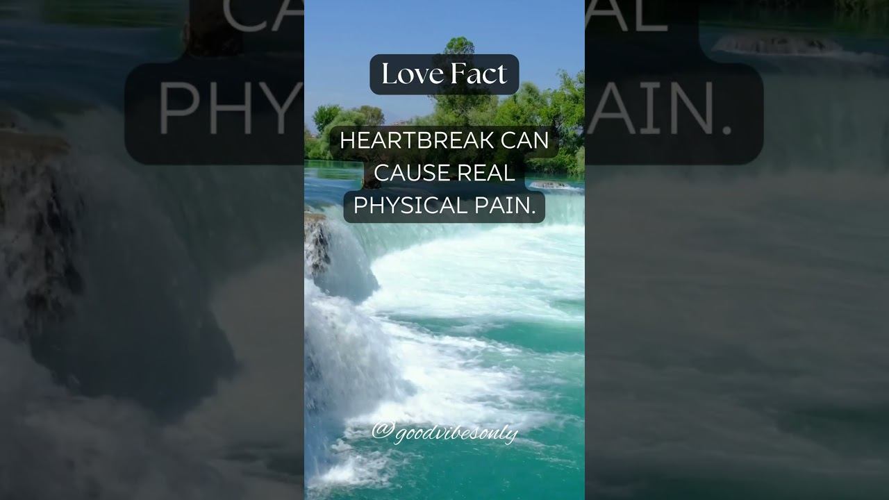The Physical Toll of Heartbreak: Understanding the Painful Reality смотреть онлайн