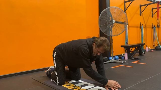 Bird Dog Quadratus Lumborum (QL) & Childs Pose