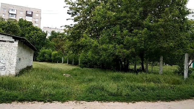 Харьков Доброе Утро 28.05 Аня думала я ШУЧУ смотреть онлайн