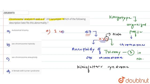 Chromosomal analysis reveals a 47 ,XXY karyotype . Which of the following description best смотреть онлайн
