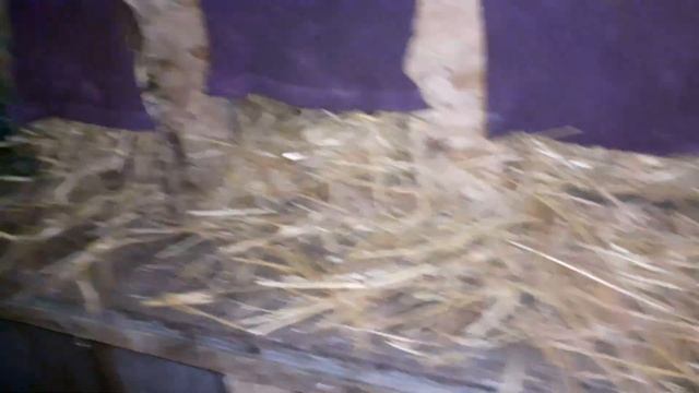 Теперь только так смотреть онлайн