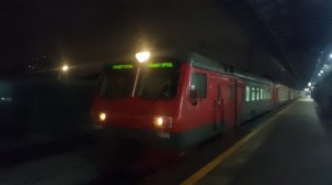 Электропоезд ЭД4М-0346 «Почти закончилась осень» на станции Новогиреево (МЦД-4)