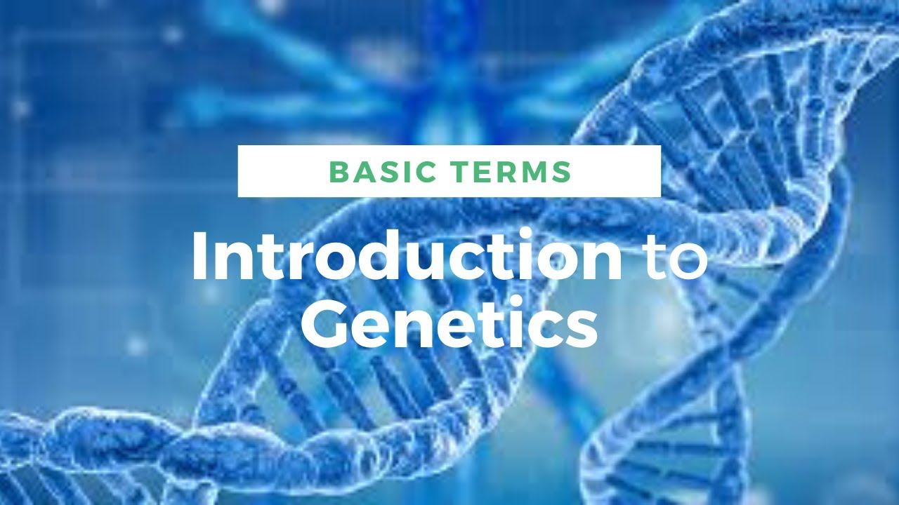 Introduction to genetics and its important terms in urdu/hindi смотреть онлайн