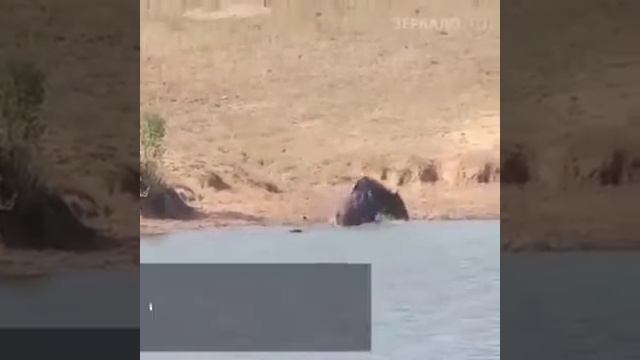 Видео притча смотреть онлайн