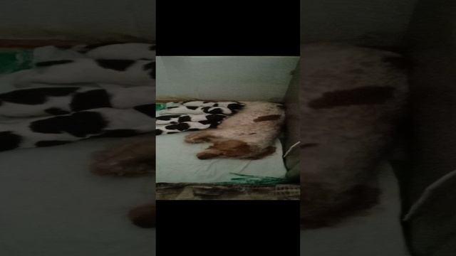 VID_20241202_105058 смотреть онлайн