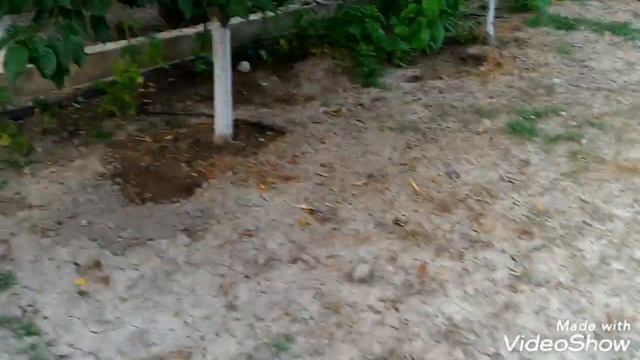 kombi gübre ve yapraktan uygulama hobi günlüğü 157 смотреть онлайн