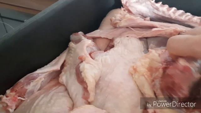 Xwardni kurdi Tara Amin chonyati lenani qaz смотреть онлайн