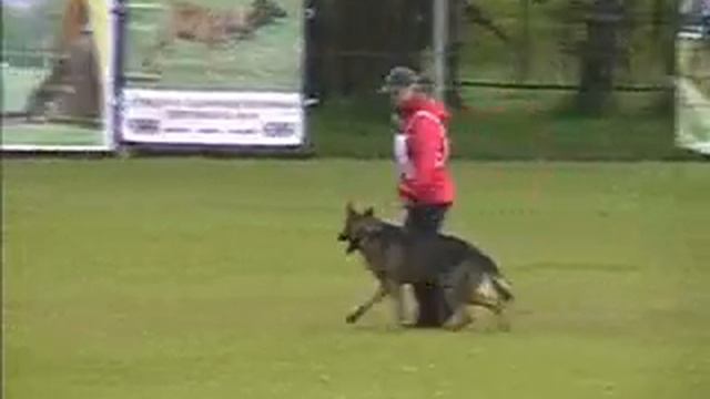 Савочкина А. с н.о. Ронни