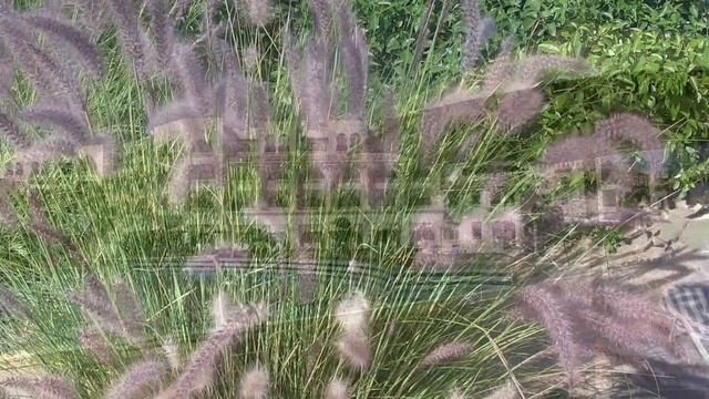 Hurghada - Sahl Hasheesh